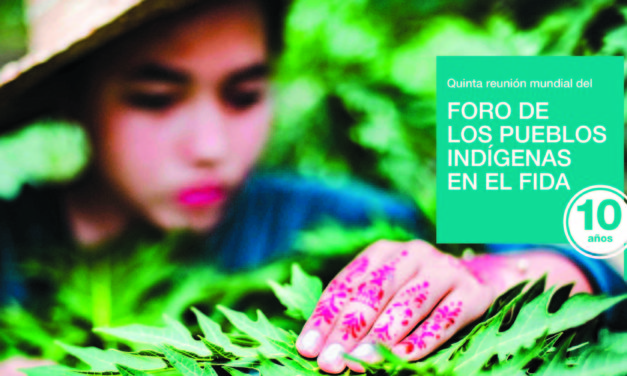 Conozca las principales recomendaciones y compromisos de la quinta reunión mundial del Foro de los Pueblos Indígenas en el FIDA    