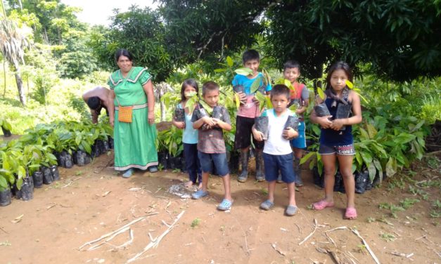 Informe de la ONU reconoce labor del Programa de PSA con pueblos indígenas en Costa Rica