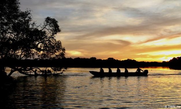 Indígenas são peça-chave contra crise climática, diz FAO