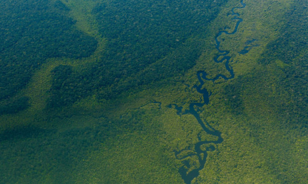 The Best Protection For Forests? The People Who Live In Them.