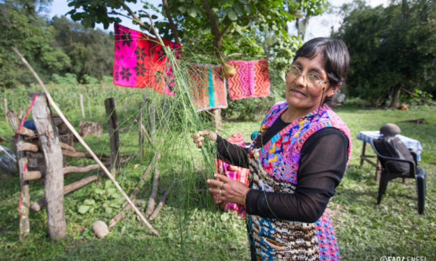 Local organisations “are not simple add-ons” to conservation