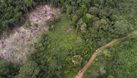 Los pueblos indígenas son los que mejor gestionan los bosques, según la ONU