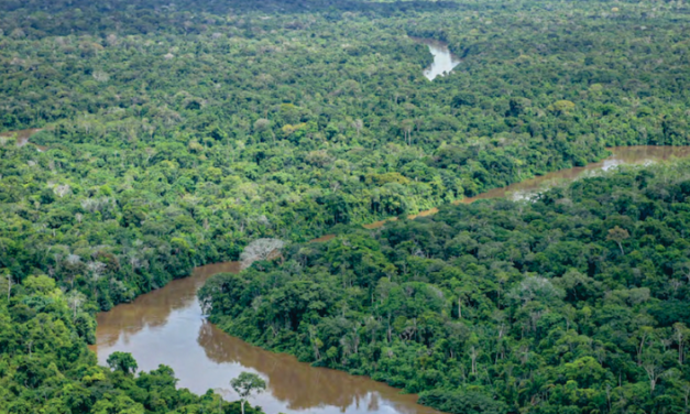Estudo reforça evidências científicas de importância de terras indígenas para o clima