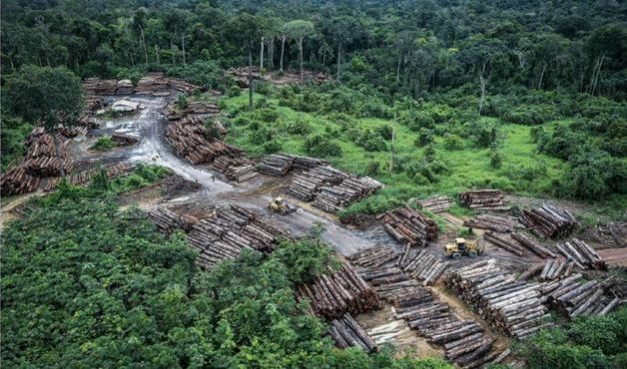 Los indígenas protegen mejor los bosques de América Latina