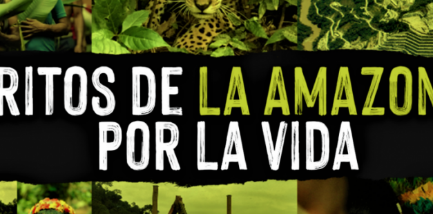 La REPAM y organizaciones indígenas trazan un plan para salvar la Amazonía