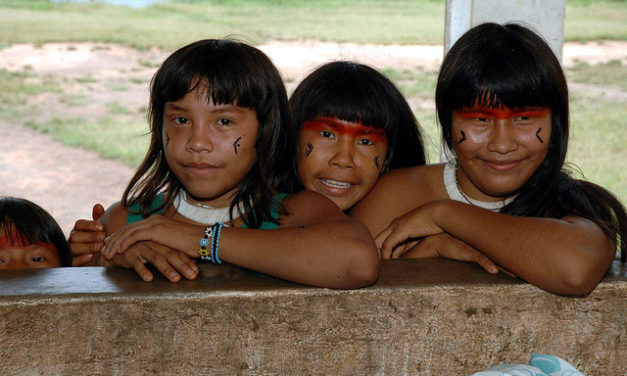 Desigualdades en salud, discriminación racial y étnica: lo que COVID 19 nos está enseñando