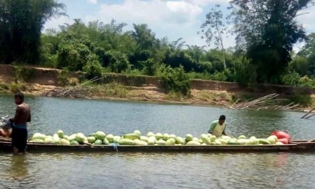 FILAC inicia este viernes los Diálogos Regionales en América Latina rumbo a la Cumbre sobre Sistemas Alimentarios